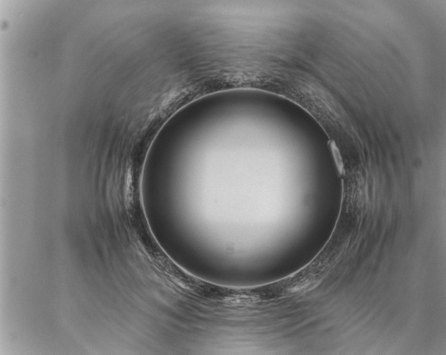 X0000087390700200704201242