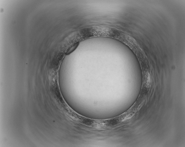 X0000087390701200704201242