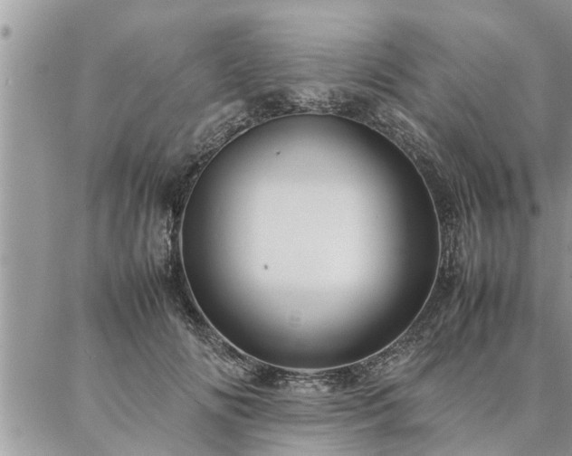 X0000087390702200704201242