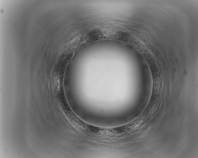 X0000087390703200704201242