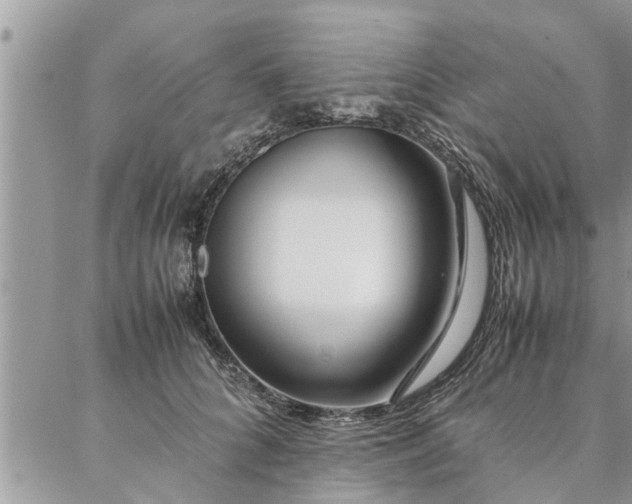 X0000087390704200704201242