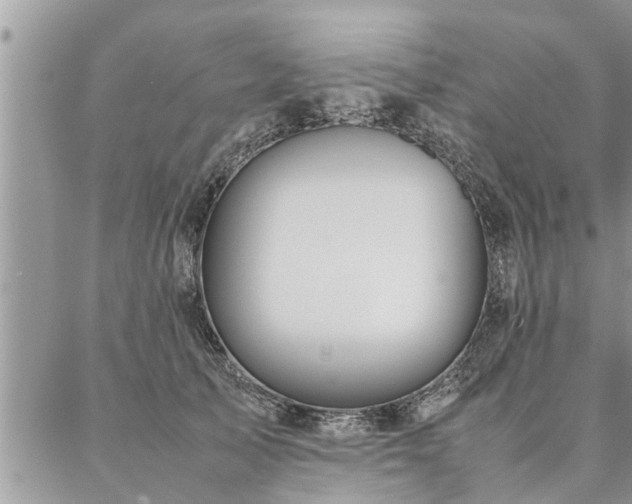 X0000087390705200704201242