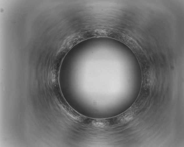 X0000087390706200704201242