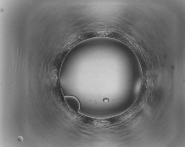 X0000087390707200704201242