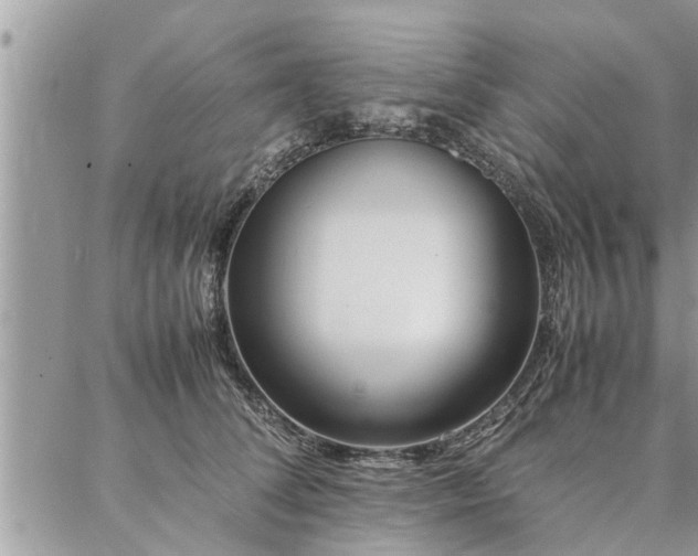 X0000087390708200704201242