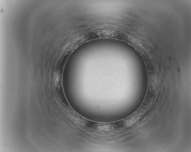 X0000087390709200704201242