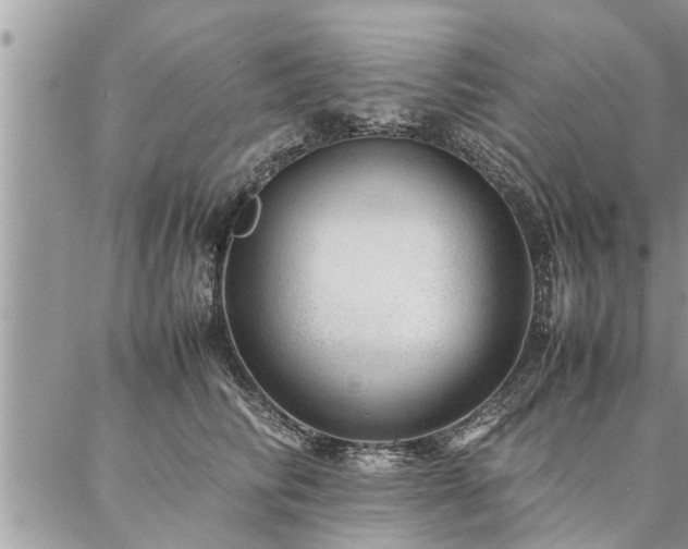 X0000087390710200704201242