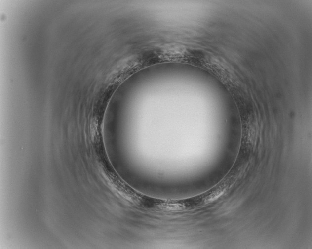 X0000087390711200704201242