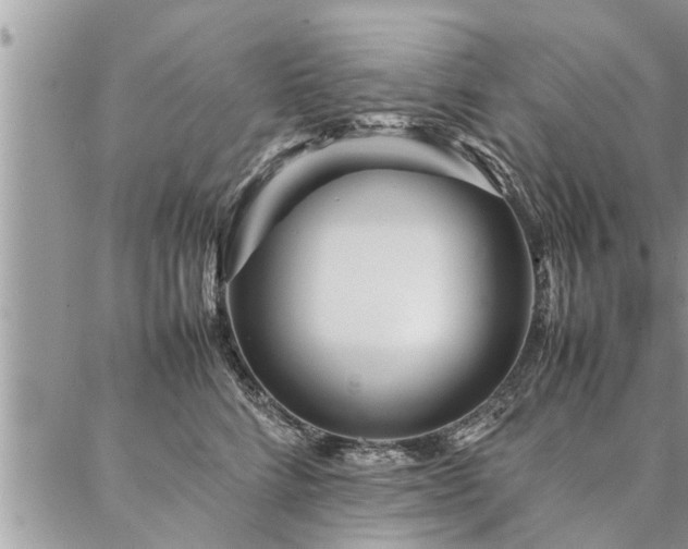 X0000087390712200704201242