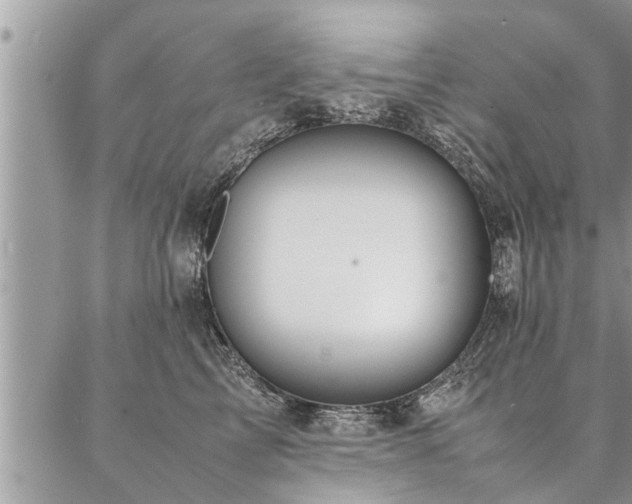 X0000087390713200704201242