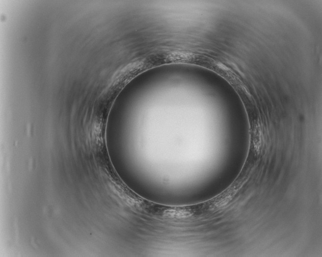 X0000087390714200704201242