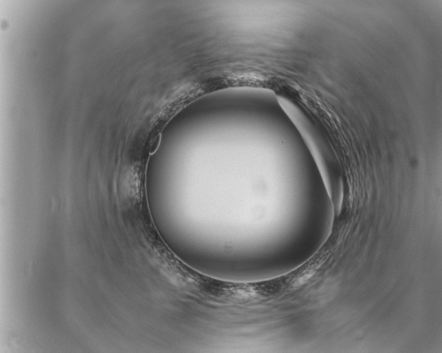 X0000087390715200704201242