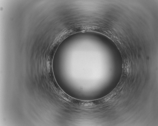 X0000087390716200704201242