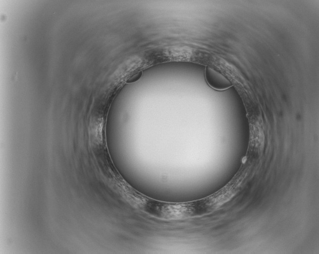 X0000087390717200704201242