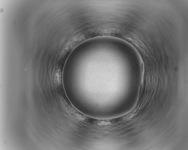 X0000087390718200704201242