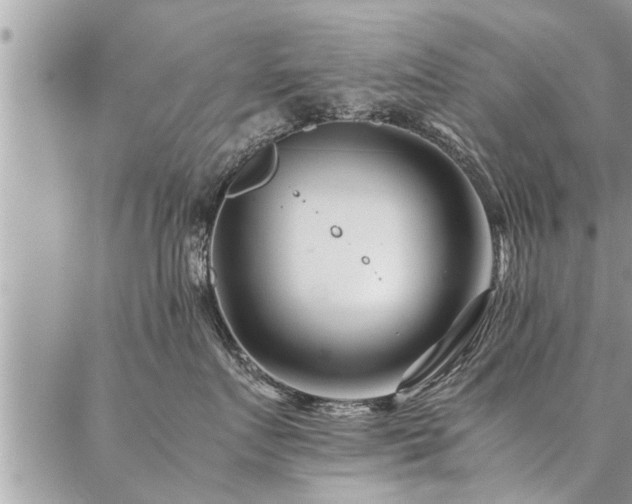 X0000087390719200704201242