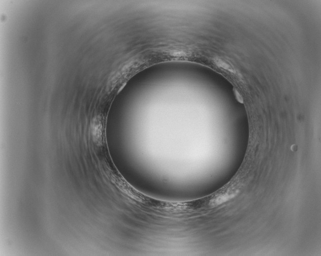 X0000087390720200704201242