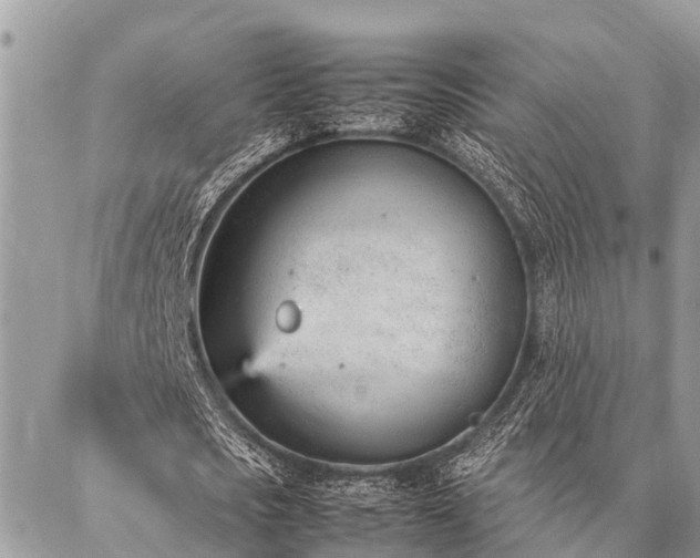 X0000087390721200704201241