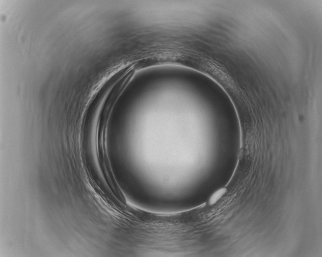 X0000087390722200704201241