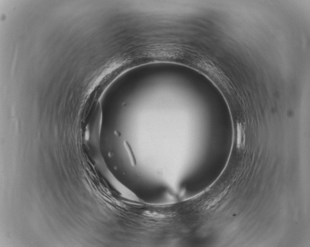 X0000087390723200704201241