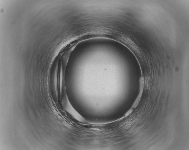 X0000087390724200704201241