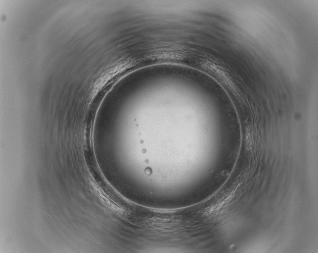 X0000087390725200704201241