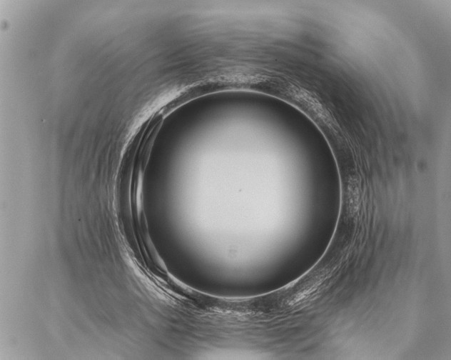 X0000087390726200704201241