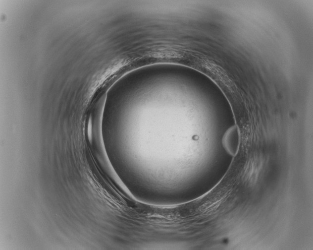 X0000087390727200704201241