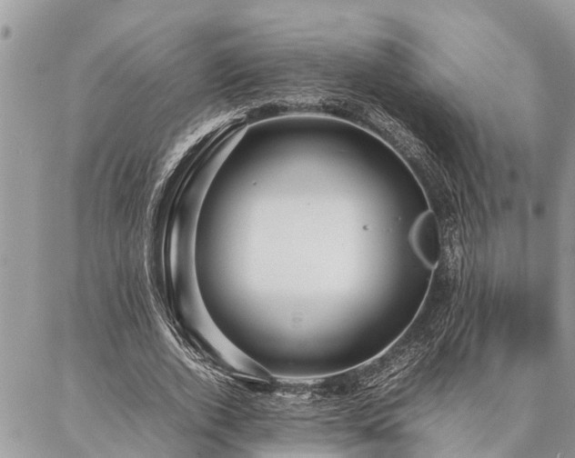 X0000087390728200704201241