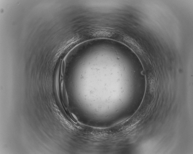 X0000087390729200704201241