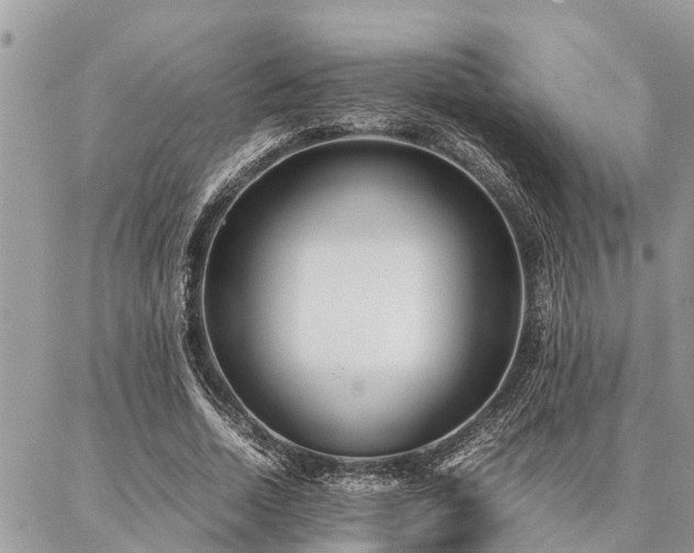 X0000087390730200704201241