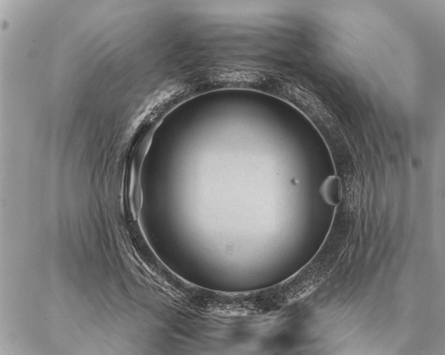 X0000087390731200704201241