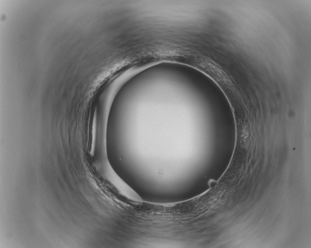 X0000087390732200704201241