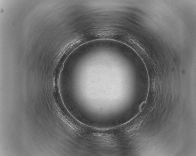 X0000087390733200704201242