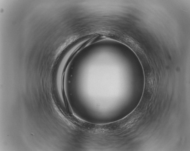 X0000087390734200704201242