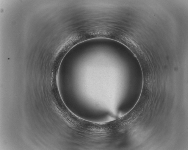 X0000087390735200704201242