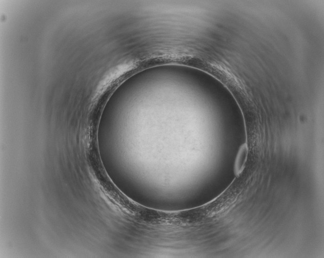 X0000087390736200704201242