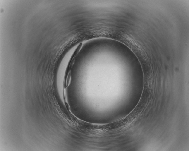 X0000087390737200704201242