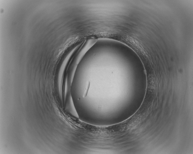 X0000087390738200704201242