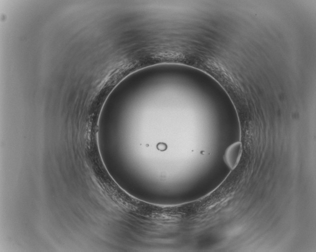 X0000087390739200704201242