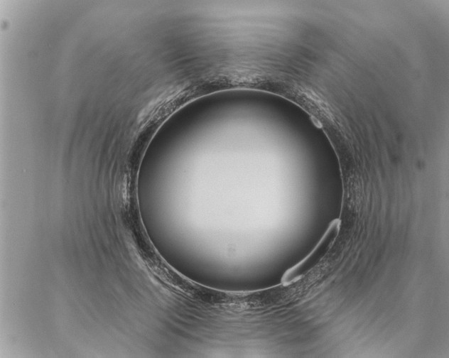 X0000087390740200704201242