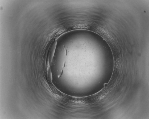 X0000087390741200704201242