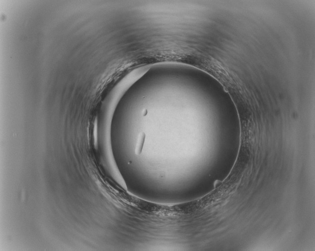 X0000087390742200704201242