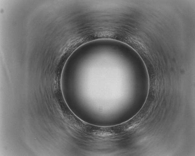 X0000087390743200704201242