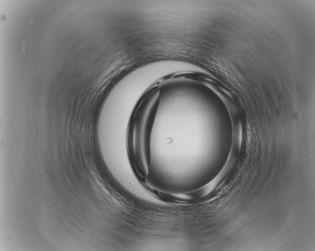 X0000087390744200704201242