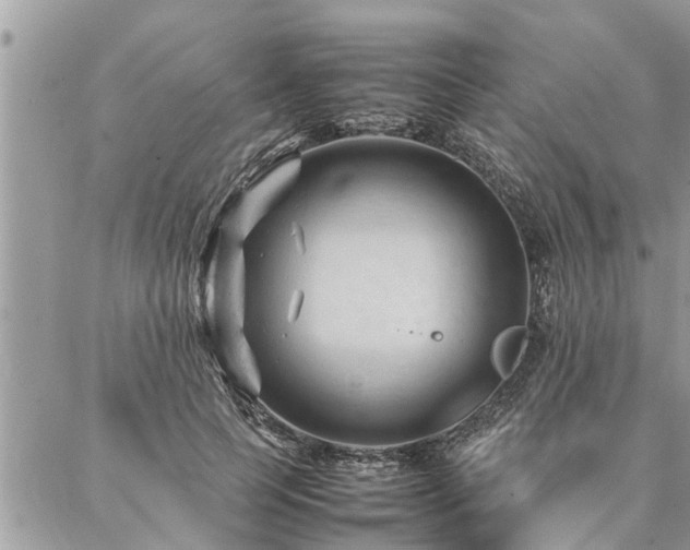 X0000087390745200704201242