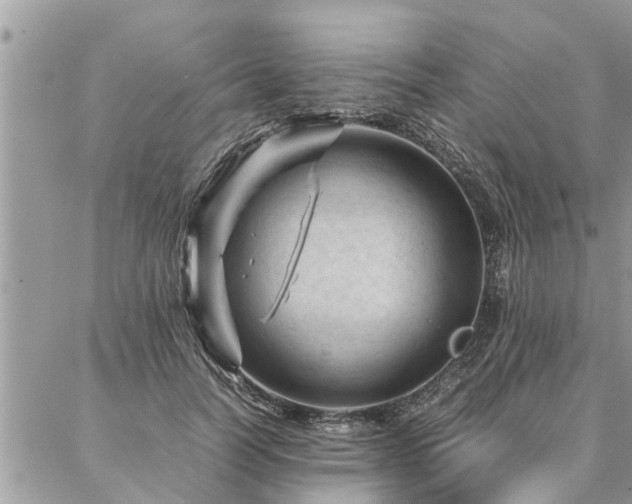 X0000087390746200704201242