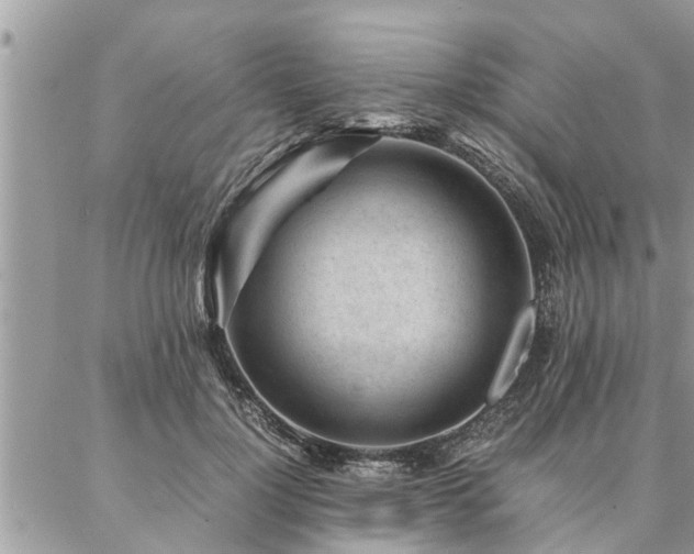 X0000087390748200704201242