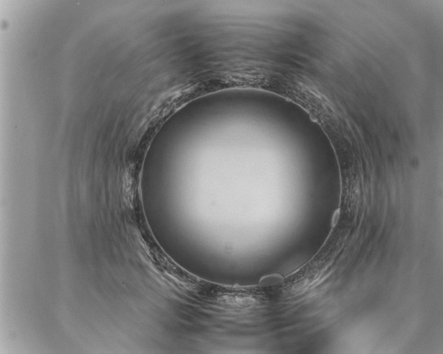 X0000087390749200704201242