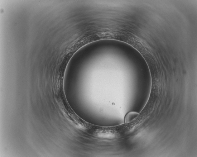 X0000087390751200704201242